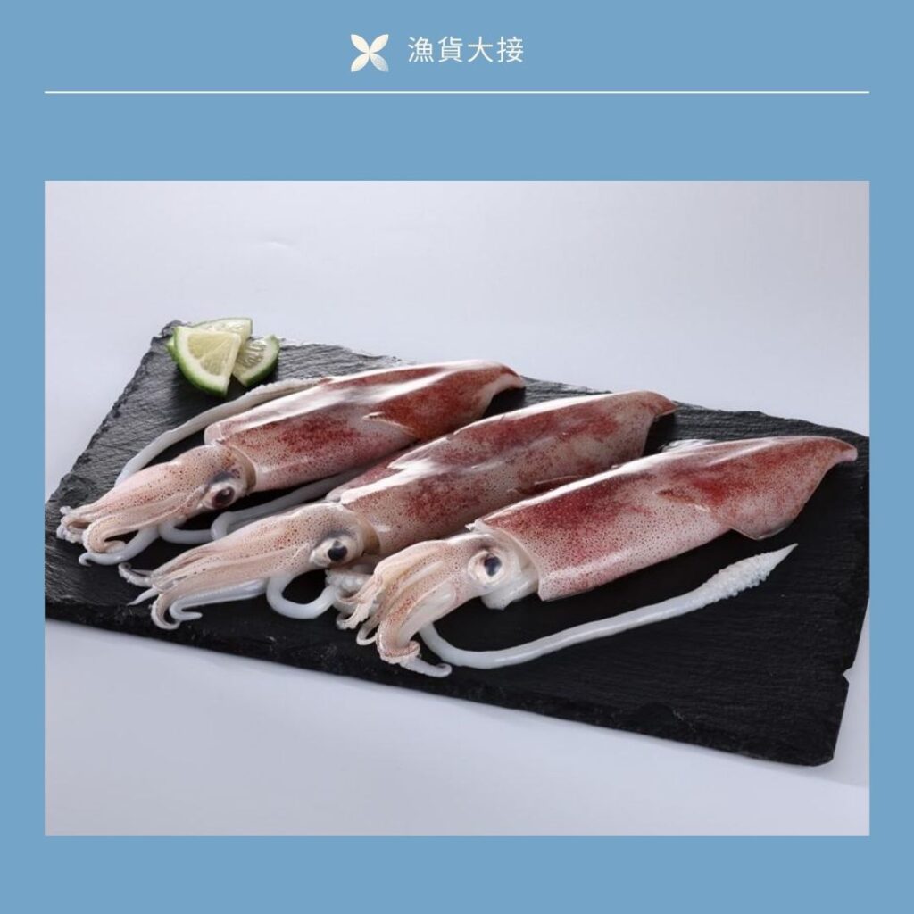 透抽(1入)250/300g | 漁貨大接