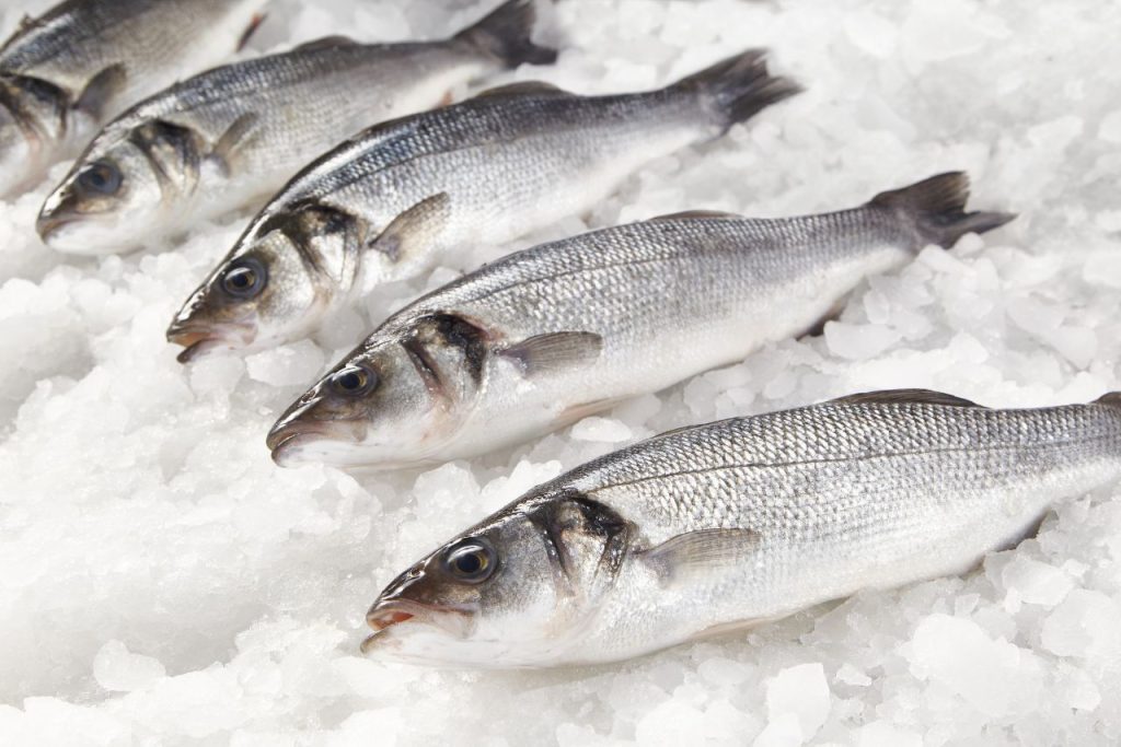 魚精營養功效