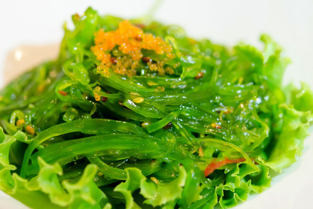 澎湖海菜