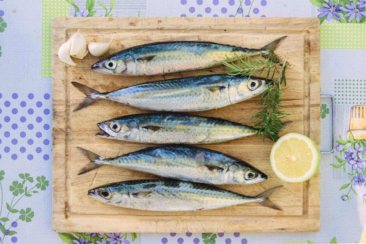 鯖魚