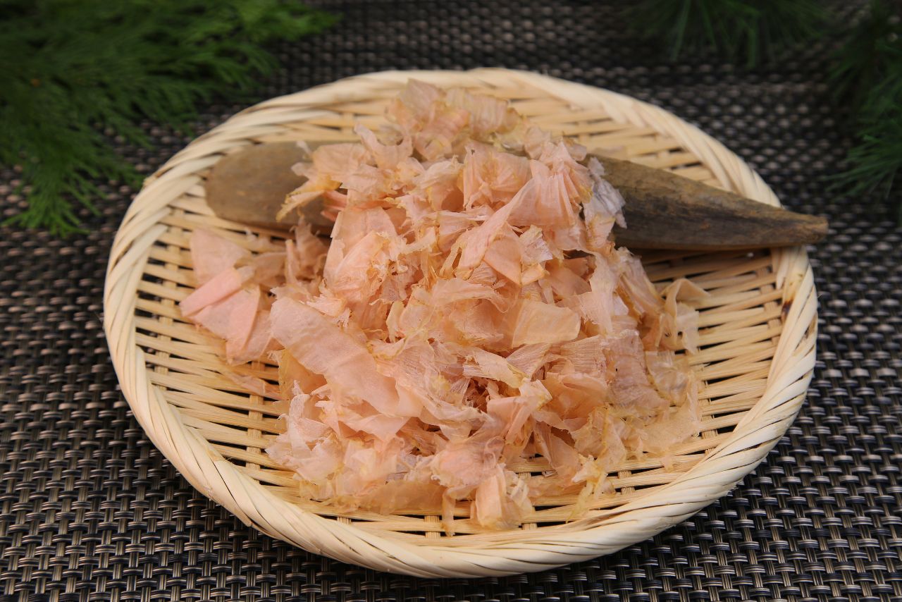 鰹魚
