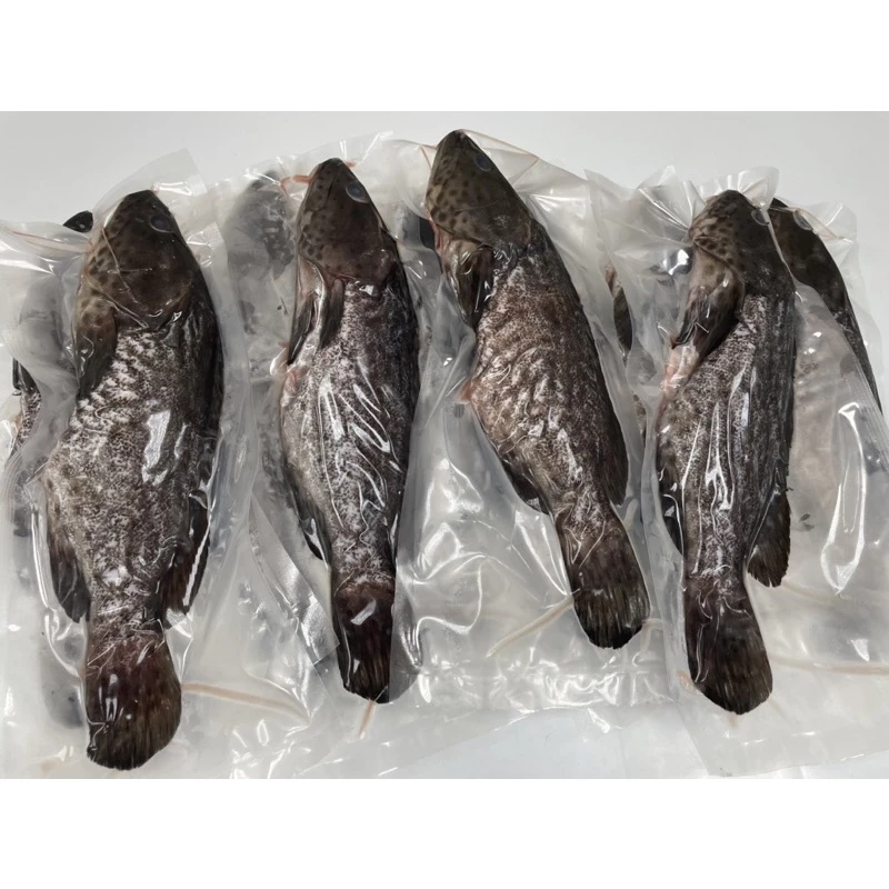 永安石斑魚饗宴