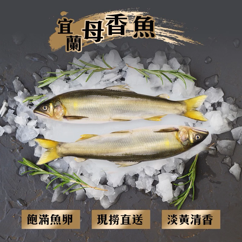 香魚
