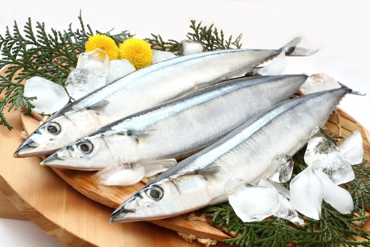 秋刀魚