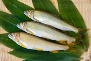 香魚